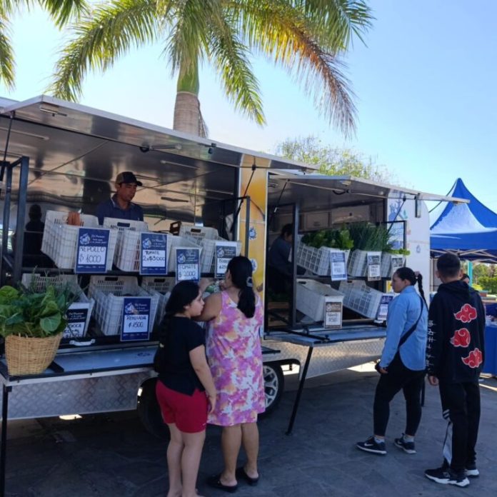 561352788_796888919807411_2552277043758458167_n-1-750x750