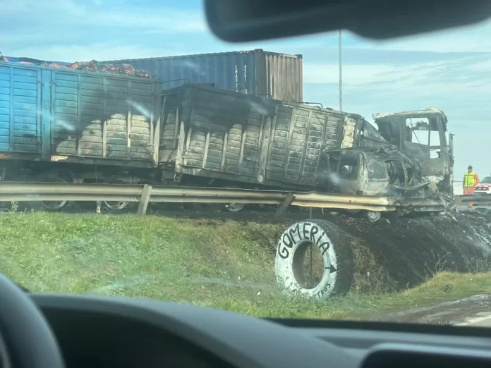 IMÁGENES SENSIBLES: así fue el choque fatal en Panamericana a la altura de Campana que dejó cinco muertos