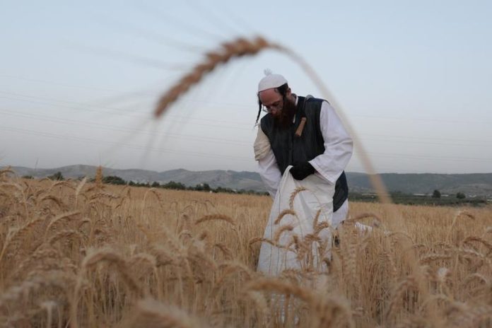 Israel: la economía sufrió una fuerte contracción tras el conflicto bélico con Irán